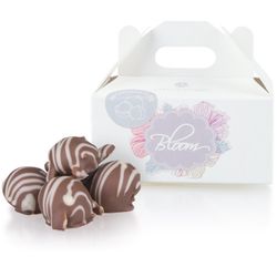 Chocolissimo - Makadamové ořechy v mléčné čokoládě 55 g